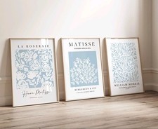 Matisse Botanical Prints Set Of 3 Wall Art Duck Egg Blue