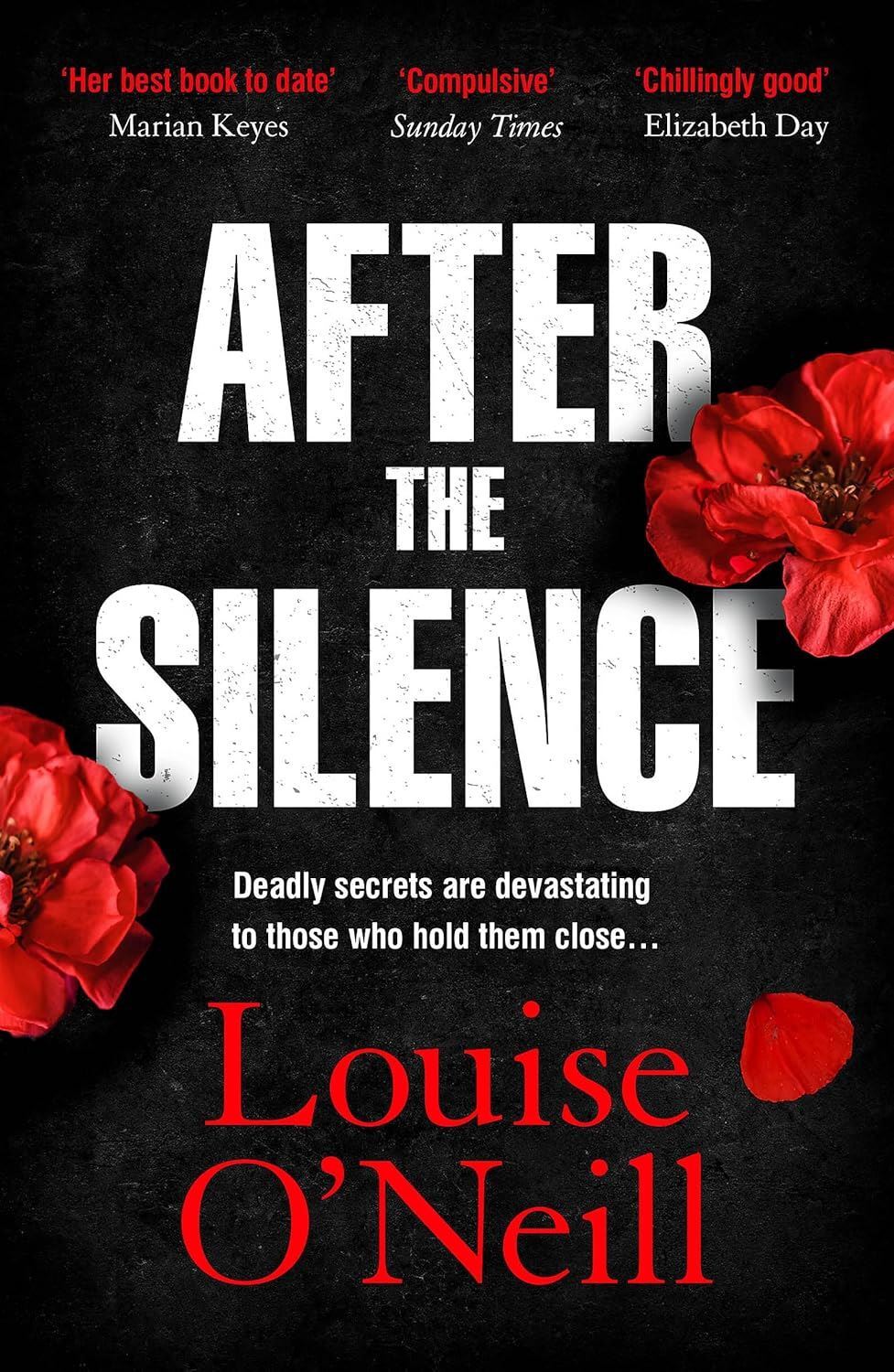 After the Silence: The An Post Irish Crime Novel of the Year