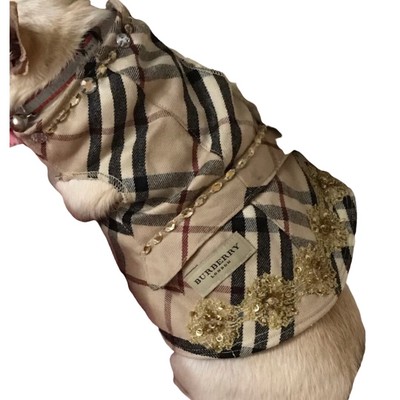 burberry for dogs