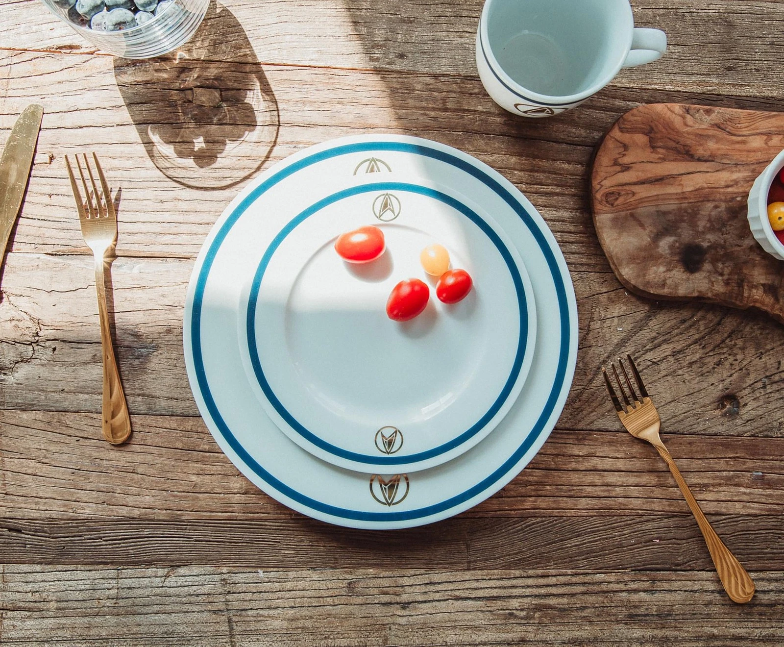 Star Trek: Picard 25th Century 16-Piece Ceramic Dinnerware Set - Thumbnail 5