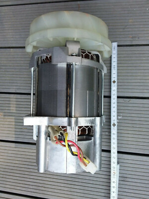 Elektro Induktions Motor- Teil - Garten-Walzen-Häcksler  ''Yard Force'' 