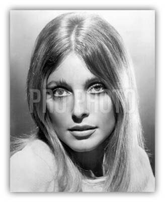 Seductive Close Up Blond Temptress Sharon Tate Hypnotic Eyes 1968 US 8x10 Photo