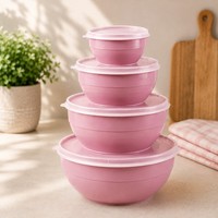 Vorratsdosen Frischhaltedosen 4Er Set Meal Prep Boxen Aufbewahrungsbox BehäLter