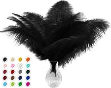 Natural Black Ostrich Feathers Bulk Multiple Sizes  Qty Options for DIY Crafts