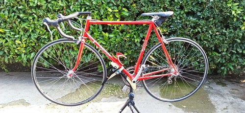 Bici da corsa su strada vintage Rossin Trilly exage 52-40 7 velocità 11-26  | eBay