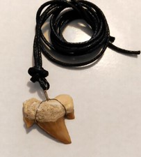 Shark Hai Zahn Haifischzahn Kette Halsband Anhänger mit Band