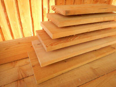 FICHTE TANNE Bauholz Bretter 24x200mm - 4 Stück Je 200cm Für Schalung & Sichtschutz