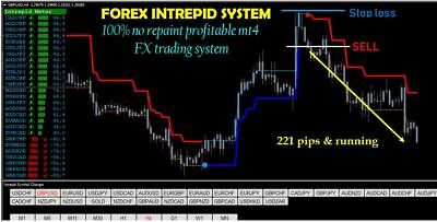 forex intrepid strategy mt4