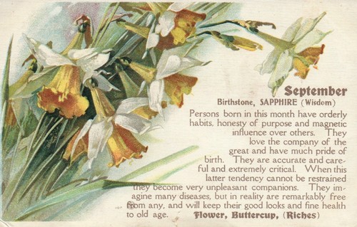 九月诞生石蓝宝石毛茛花daylilly 花卉明信片 Ebay 九月诞生石蓝宝石毛茛花daylilly 花卉明信片 Ebay