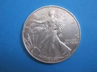 2004 Walking Liberty American Eagle Dollar - 0.999 Fine Silver - 1 oz. $1 USA
