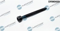 Dr.Motor Automotive DRM0609 Schraube, EinspritzdüSenhalter FüR Audi, Ford, Seat