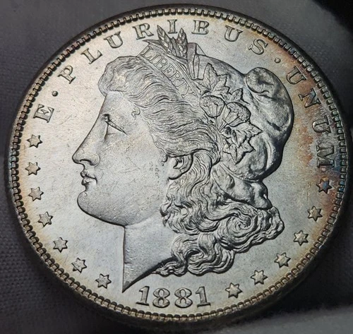 1881 S Morgan Silver Dollar, 90% Silver, Choice BU Uncirculated, Morg-8152s