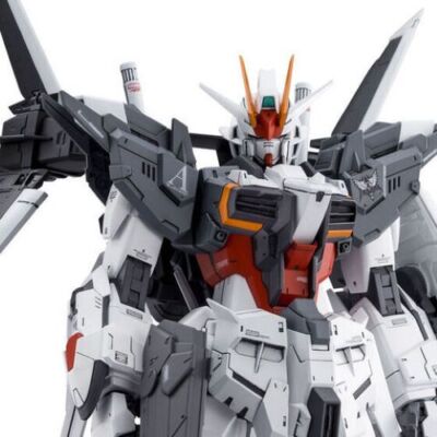 BANDAI MG 1/100 gundam ex impulse Gundam Build Divers from Japan