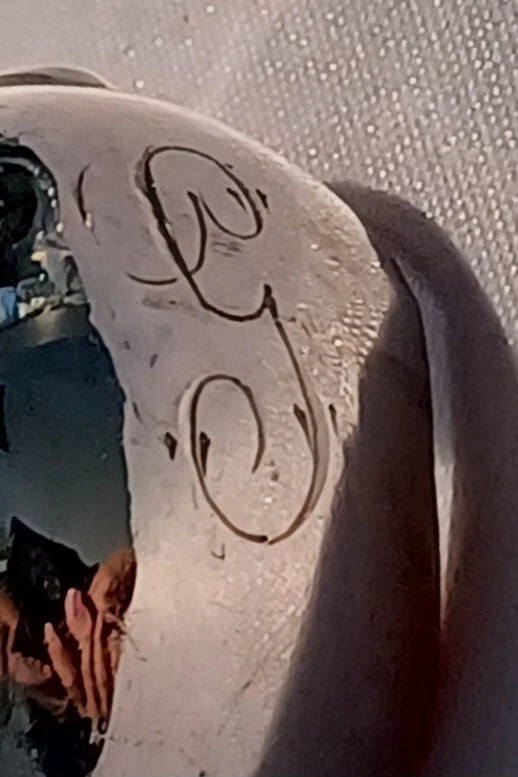 Pinzas grandes de azúcar Lily of the Valley de Whiting Sterling - 5 1/4" mono'd Foto 2 de 3