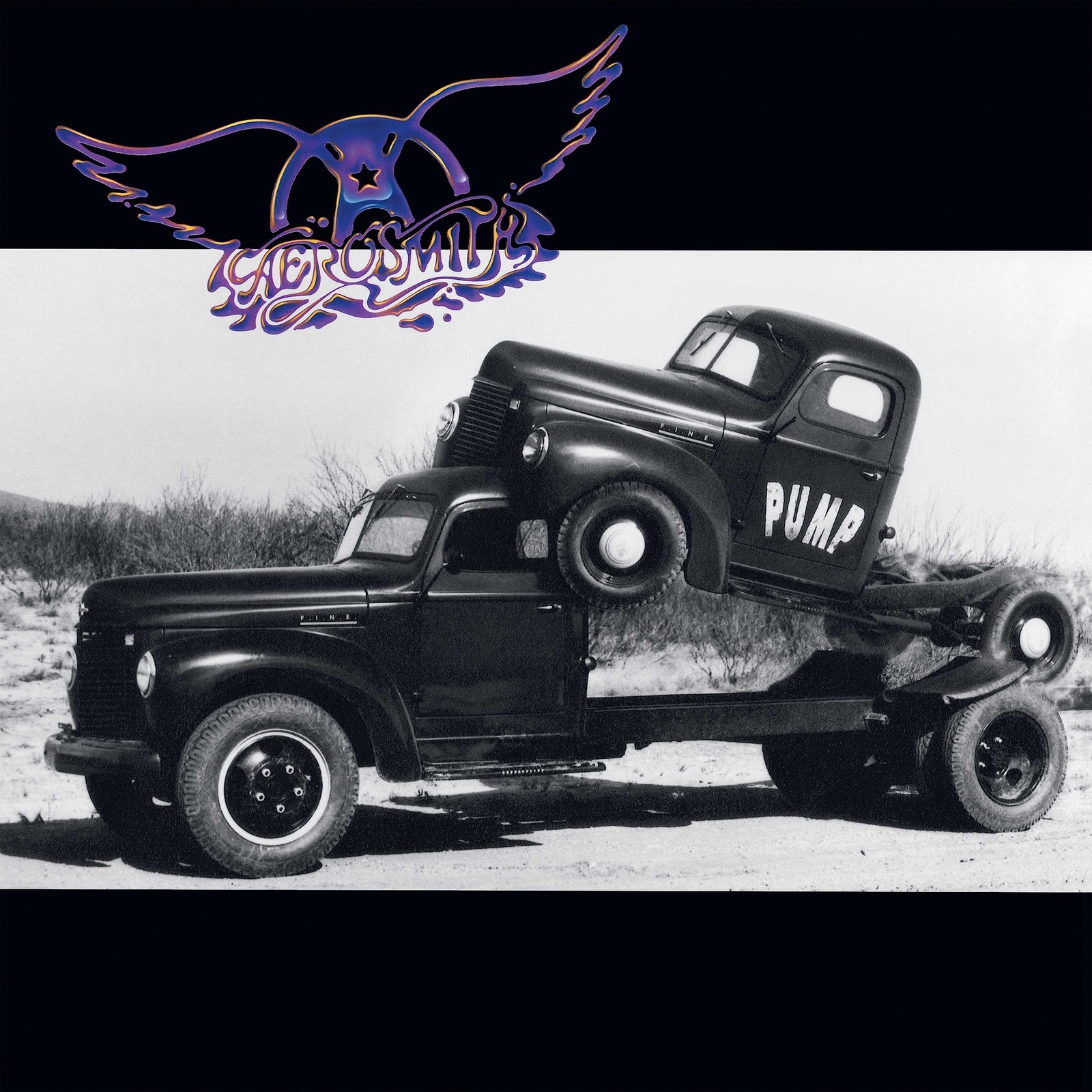 Aerosmith Pump (Vinyl LP)