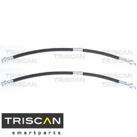 2X Bremsschlauch Triscan 815050216 2 BremsschläUche Rechts Links Hinten