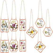 10 Pcs Glass Frame for Pressed Flowers 5 Different Shapes Brass Hanging Pictu...