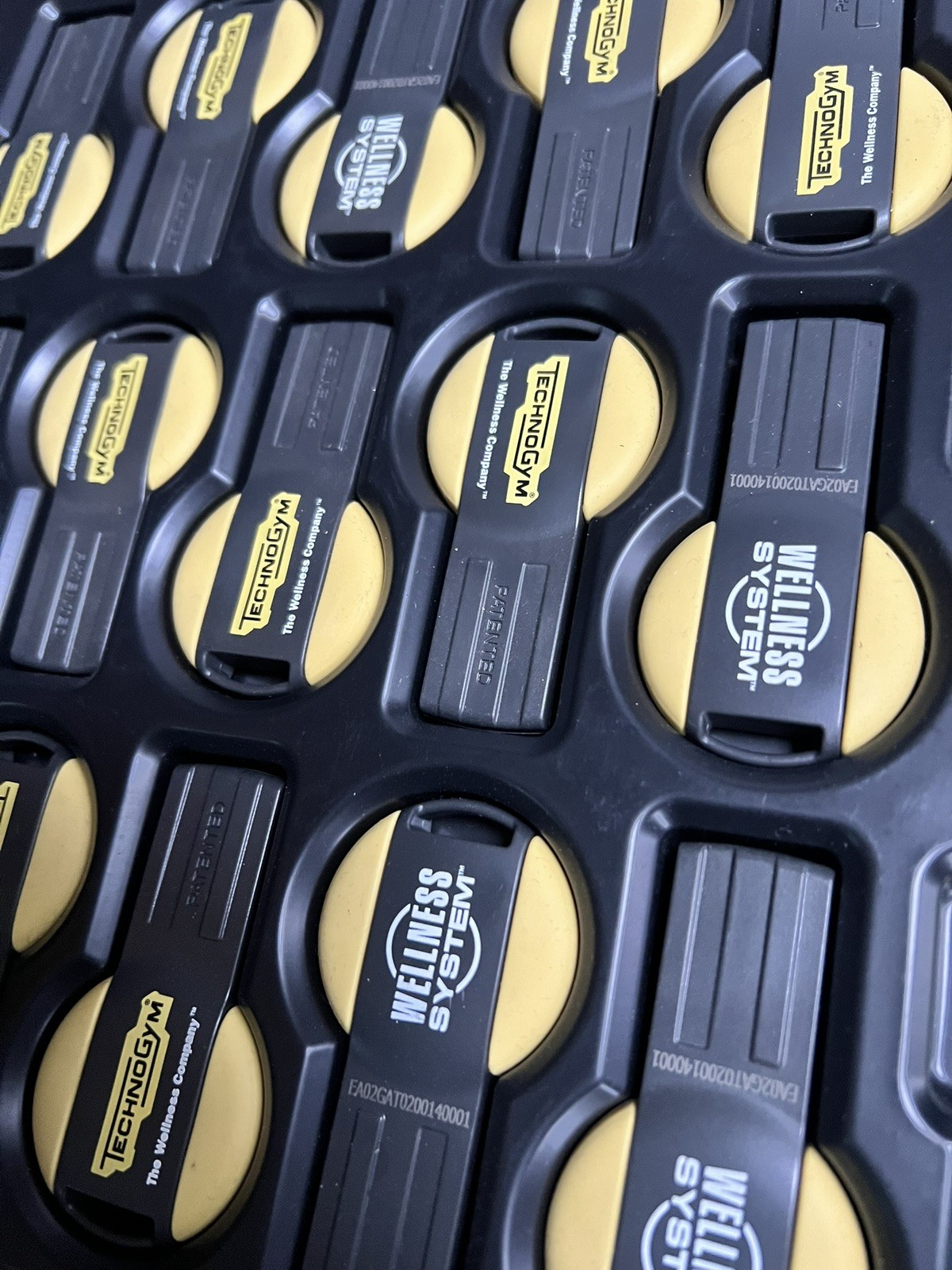 Llave Technogym MyWellness