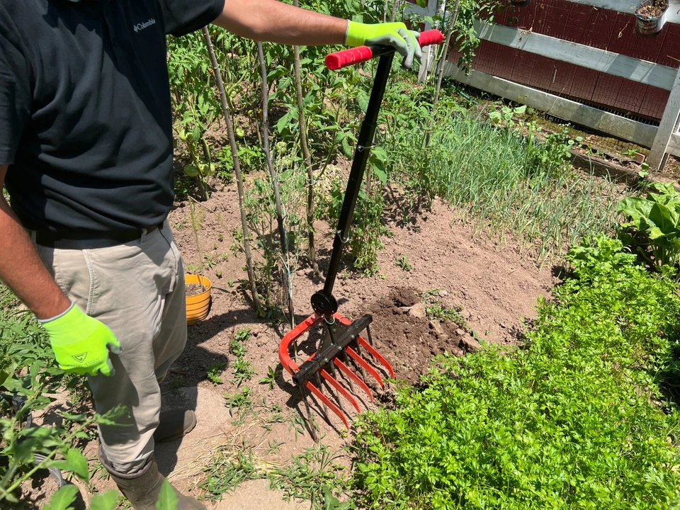 Garfo largo para jardinagem - Portátil e ergonômico 6+5 dentes afiados, cultivando - Imagem 3 de 4
