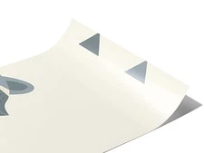 Rwraps Raccoon Unwanted Guests Gloss Vinyl Film Wrap 59in x 24ft Vinyl Vehicle