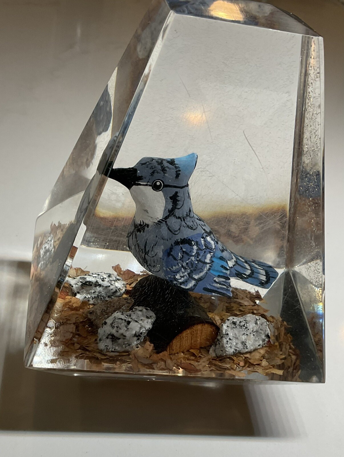 Picture 5 of 12