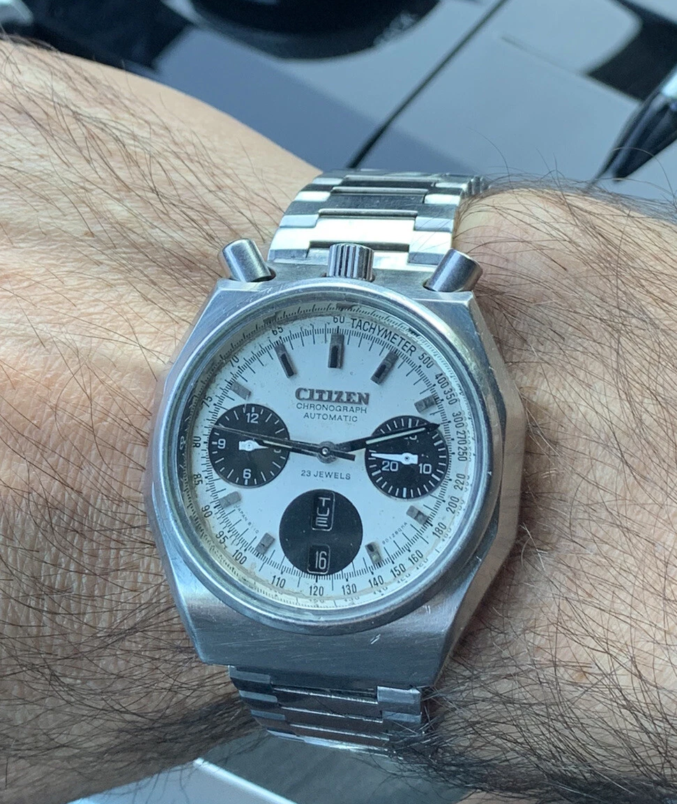Citizen bullhead hotsell panda