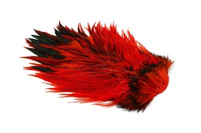Whiting Brahma Rooster Sattelumhänge * Dachs natur oder gefärbt * Neu 2026 Lagerware *