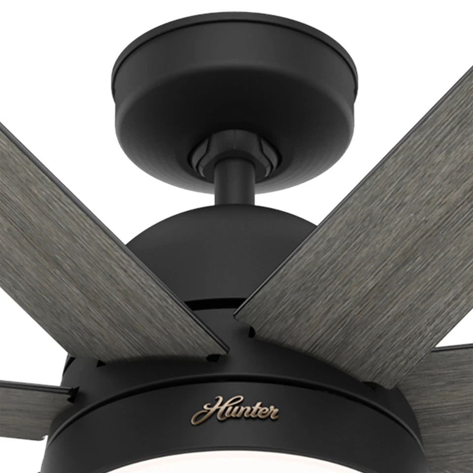 Hunter Fan 70 in Casual Matte Black Indoor Ceiling Fan with Light Kit, 7 Blades - Image 2 of 4