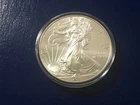2015 1 Oz Silver American Eagle Coin U.S. Mint .999 Fine Silver in Capsule