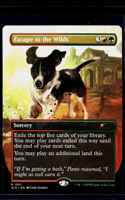 2025 MTG Magic the Gathering SLD Secret Lair Drop #1921 Escape to the Wilds LP