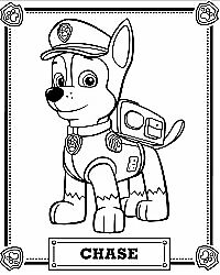 Paw Patrol - Marshall and Chase on the Case (DVD, 2015)
