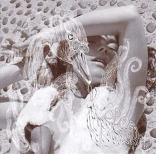 Bjork - Vespertine NEW Vinyl