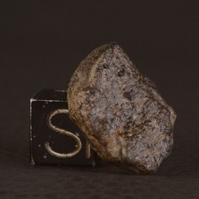 Meteorit. Individuelle Amgala 001 Von 4,96 g Martianisch, Shergottit, Mars
