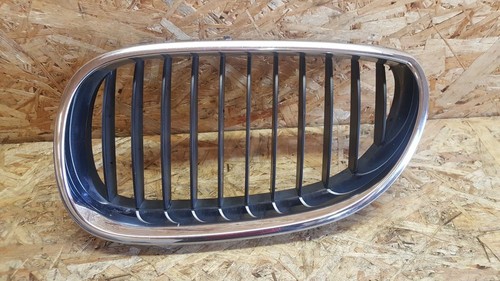 BMW 5 E60 E61 2009 Vorne links Kühlergrill 10627110