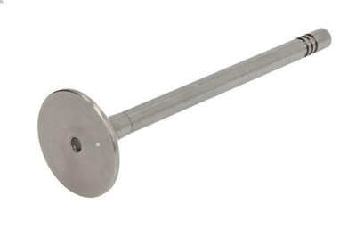 Exhaust Valve Paradowscy PVWG036-A-0-N for VW Polo (6N2) 1.4 1999-2001