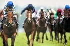Hollie Doyle Hand Signed 12x8 Photo Horse Racing Autograph