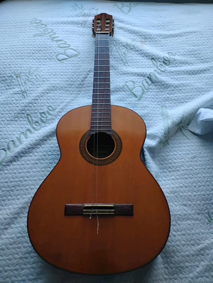 Guitarra acústica vintage Burnob para diestros Foto 2 de 4