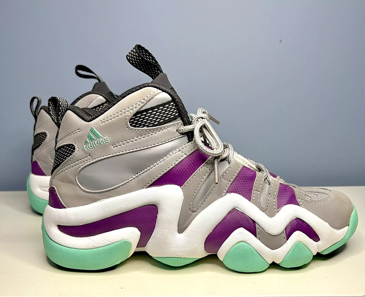 Charlotte hornets hotsell shoes