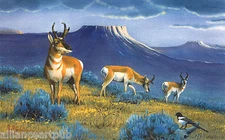 ANTELOPE PARADISE & ANTELOPE COUNTRY - 2 Mint  Western Prints s/n by Les Kouba