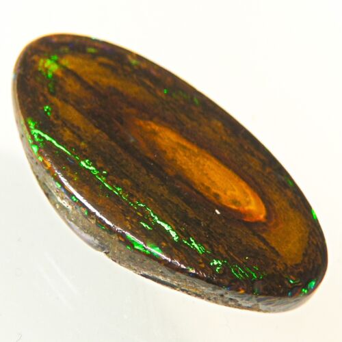 19.9c AUSSIE WOOD BOULDER OPAL FOSSIL GEMSTONE POLISHED CABOCHON UNSET OCA17978