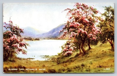 Esthwaite Water Blossom Time Postcard E. H. Thompson Art Colour Lakeland