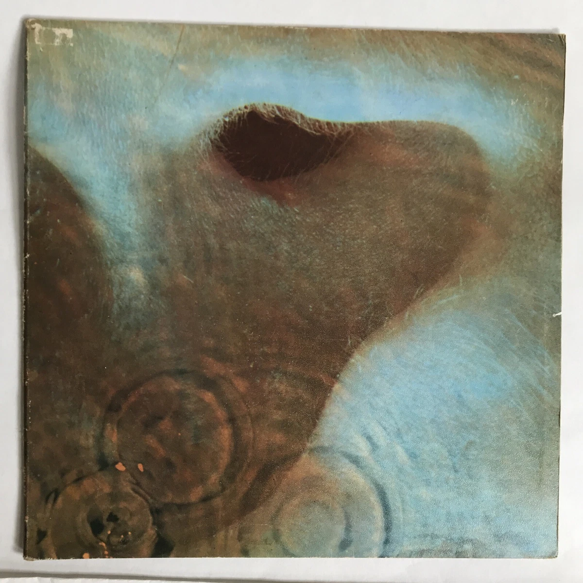 Pink Floyd Meddle Uk Lp for sale | eBay