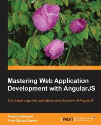 Mastering Web Application Development with AngularJS - Paperback - GOOD