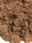 Chanca Piedra 20:1 Extract Powder-25gm-Aussie HERBALIST seller-FREE DEL