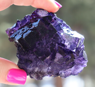 Muzquiz Purple Fluorite From Mexico 7.7 Cm's