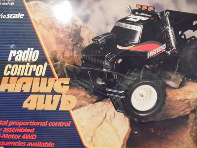 buggy télécommandée nikko