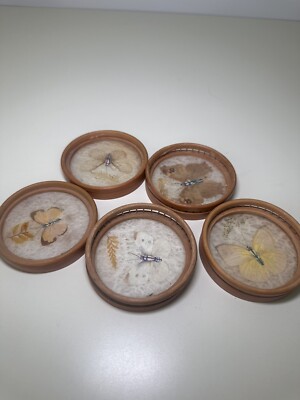 Vintage Costers Bamboo Real Pressed Butterflies Decorative Round No Tray