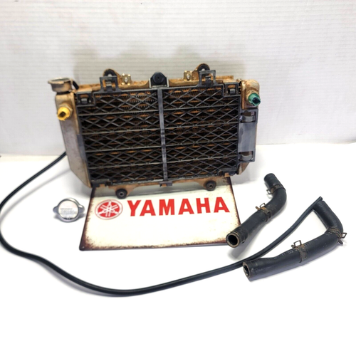 2004 04-09 Yamaha YFZ 450 YFZ 450 Radiator Guard Hoses Sensors Overflow Tube OEM - Picture 2 of 8