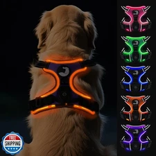 Joytale Light Up Dog Harness, No Pull Dog Harness USB Rechargeable for Night 