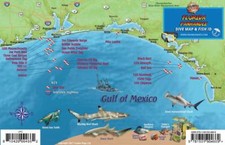 Florida Panhandle Dive  Wreck Map  Fish ID Franko Maps Waterproof Fish Card